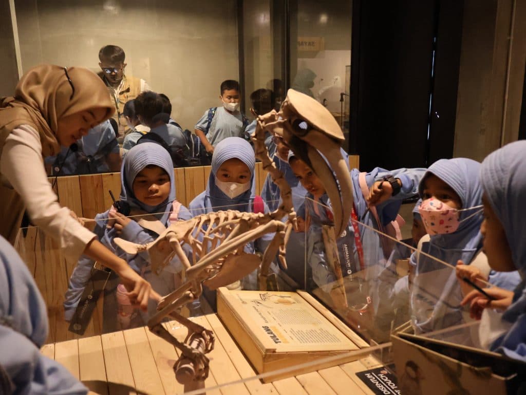 Kelas 5–6